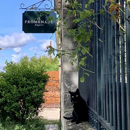 Maison Bout Du Monde Château Hyper Centre *