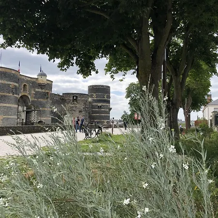 Maison Bout Du Monde Château Hyper Centre * Angers